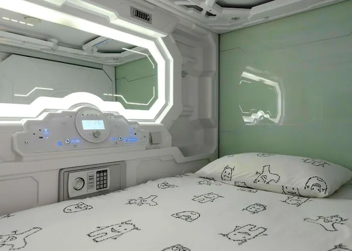 Ibis Styles The Fuzzy Log Hostel