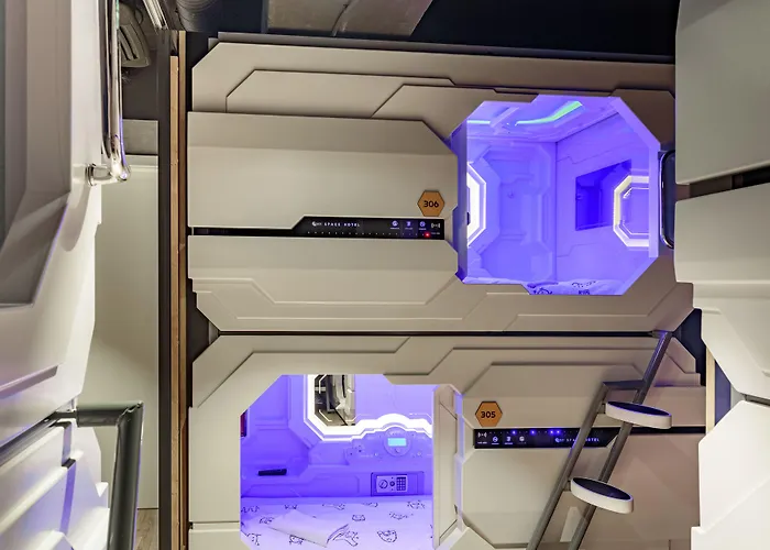 Ibis Styles The Fuzzy Log *