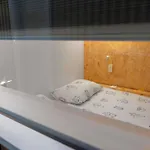 Ibis Styles The Fuzzy Log Ljubljana