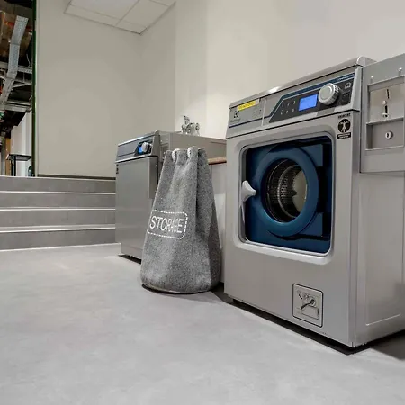 Ibis Styles The Fuzzy Log Vandrarhem *