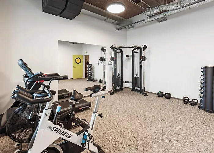 Ibis Styles The Fuzzy Log *