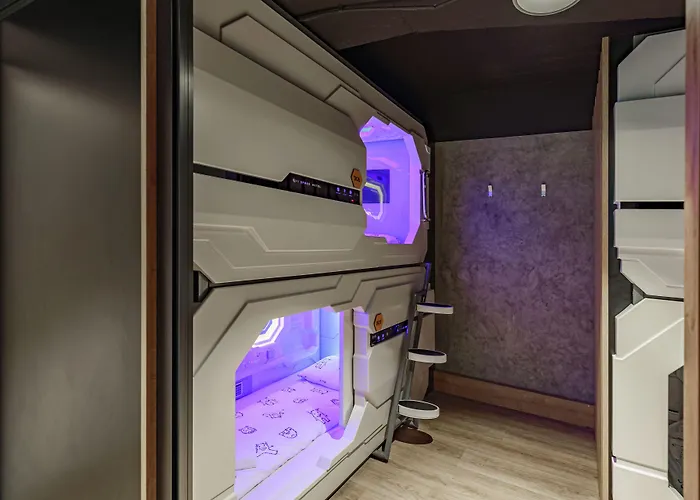 Hostel Ibis Styles The Fuzzy Log *